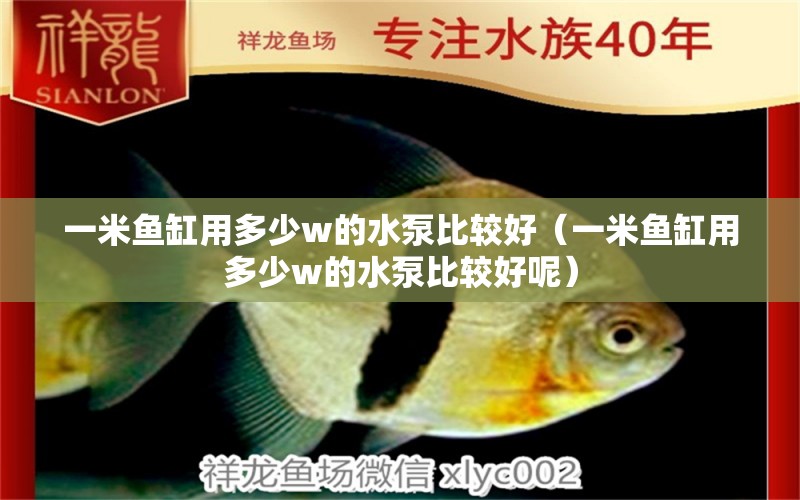 一米魚缸用多少w的水泵比較好（一米魚缸用多少w的水泵比較好呢）