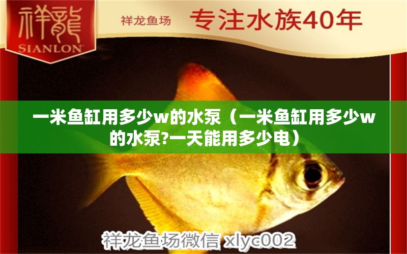 一米魚缸用多少w的水泵（一米魚缸用多少w的水泵?一天能用多少電）