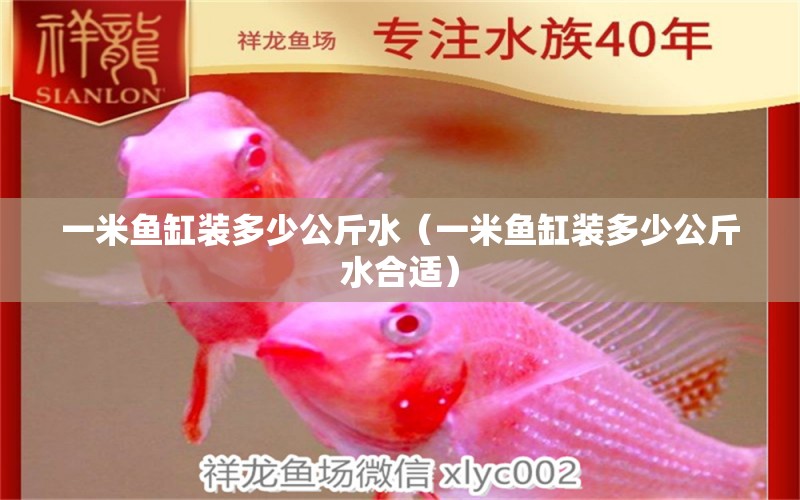 一米魚缸裝多少公斤水（一米魚缸裝多少公斤水合適）