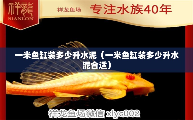 一米魚缸裝多少升水泥（一米魚缸裝多少升水泥合適） 魚缸百科