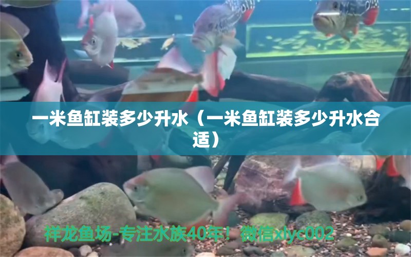 一米魚缸裝多少升水（一米魚缸裝多少升水合適） 魚缸百科