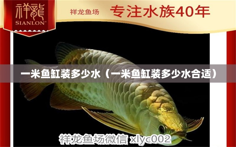 一米魚缸裝多少水（一米魚缸裝多少水合適） 魚缸百科