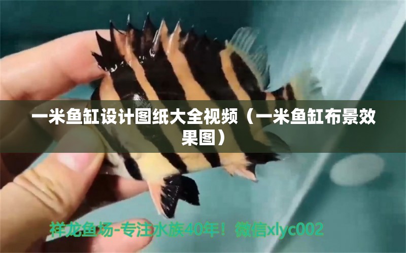 一米魚缸設計圖紙大全視頻（一米魚缸布景效果圖）