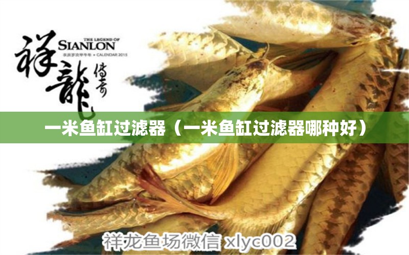 一米魚缸過濾器（一米魚缸過濾器哪種好）