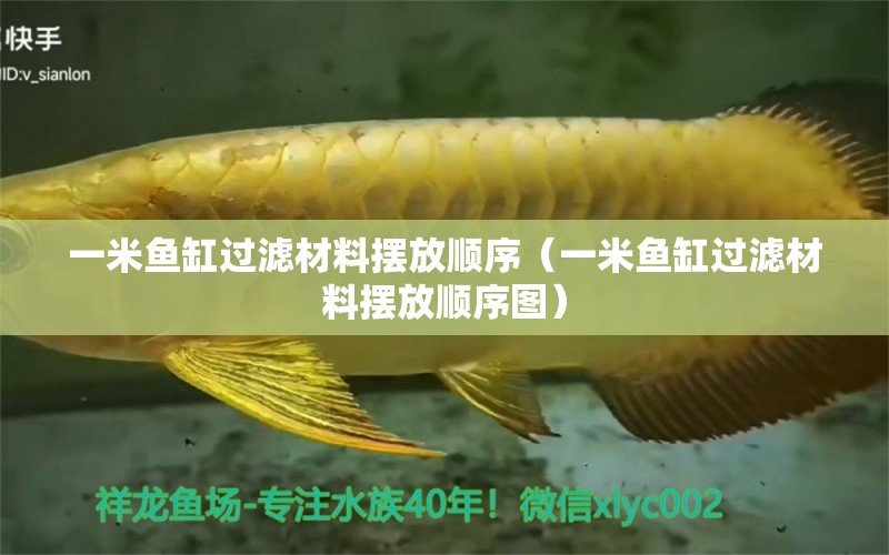 一米魚缸過(guò)濾材料擺放順序（一米魚缸過(guò)濾材料擺放順序圖） 魚缸百科