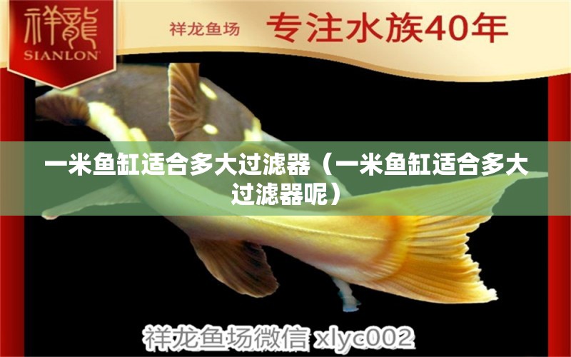 一米魚缸適合多大過(guò)濾器（一米魚缸適合多大過(guò)濾器呢） 其他品牌魚缸