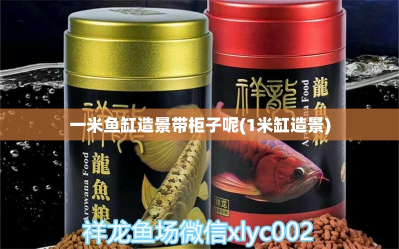 一米魚缸造景帶柜子呢(1米缸造景) 女王大帆魚