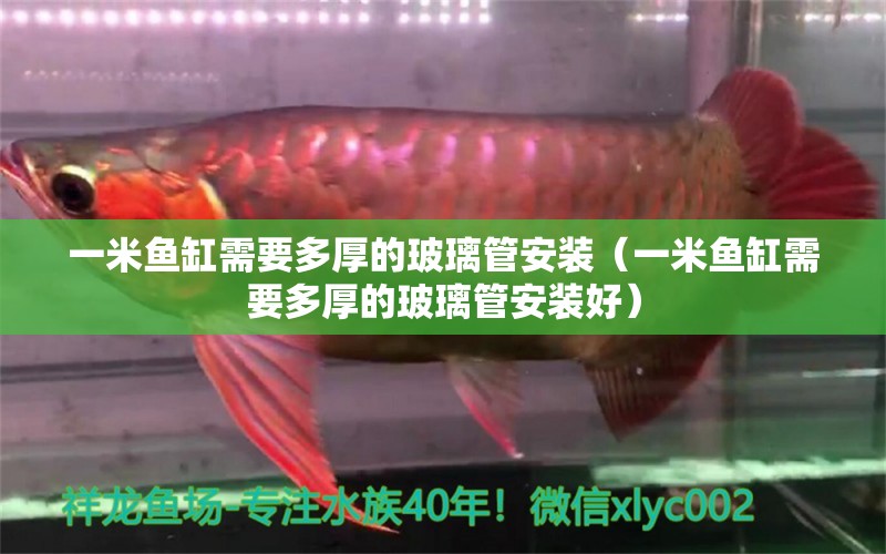 一米魚缸需要多厚的玻璃管安裝（一米魚缸需要多厚的玻璃管安裝好） 朱巴利魚