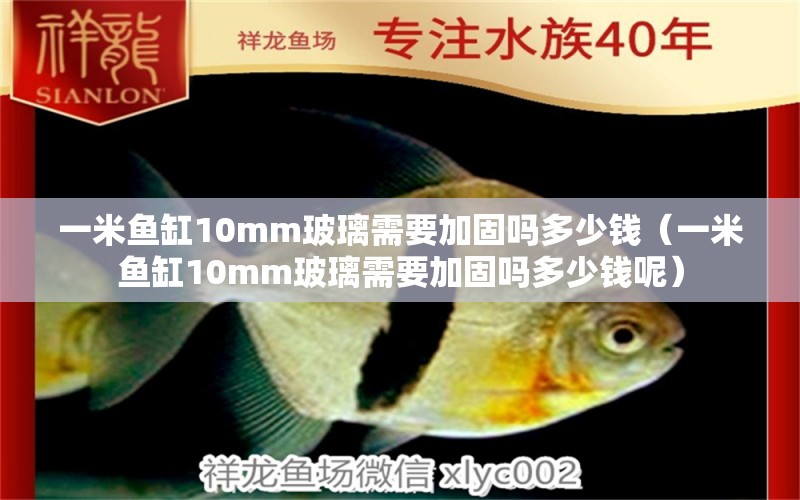 一米魚缸10mm玻璃需要加固嗎多少錢（一米魚缸10mm玻璃需要加固嗎多少錢呢） 魚缸百科