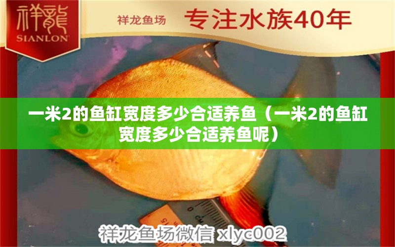 一米2的魚缸寬度多少合適養(yǎng)魚（一米2的魚缸寬度多少合適養(yǎng)魚呢） 其他品牌魚缸