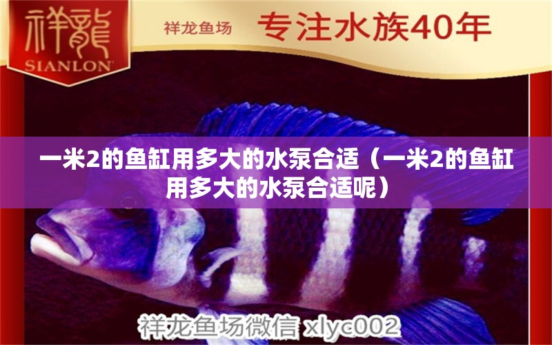 一米2的魚缸用多大的水泵合適（一米2的魚缸用多大的水泵合適呢）