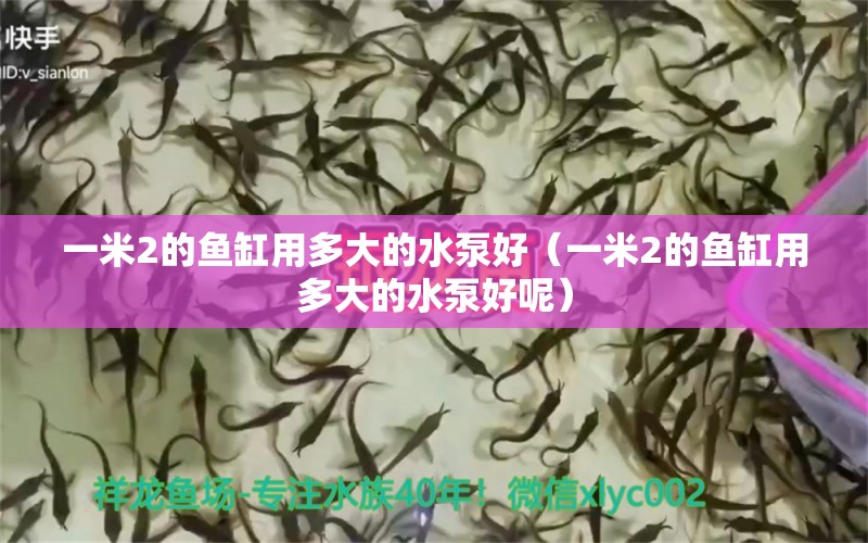 一米2的魚缸用多大的水泵好（一米2的魚缸用多大的水泵好呢）