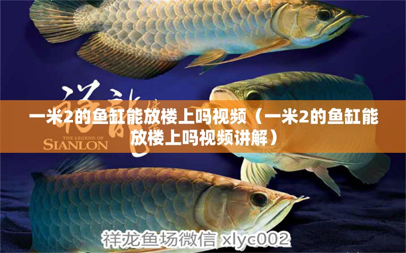 一米2的魚缸能放樓上嗎視頻（一米2的魚缸能放樓上嗎視頻講解） 其他品牌魚缸