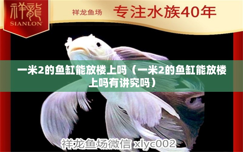 一米2的魚缸能放樓上嗎（一米2的魚缸能放樓上嗎有講究嗎）