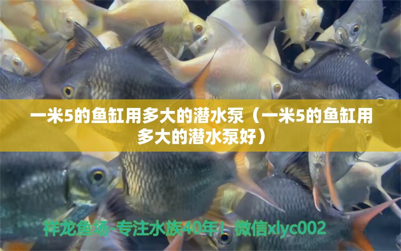 一米5的魚缸用多大的潛水泵（一米5的魚缸用多大的潛水泵好）