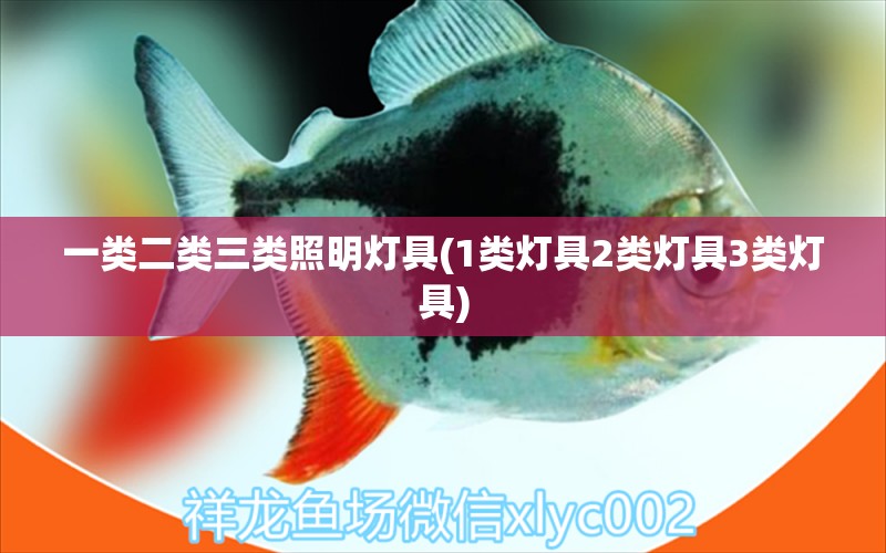 一類二類三類照明燈具(1類燈具2類燈具3類燈具) 福滿鉆魚