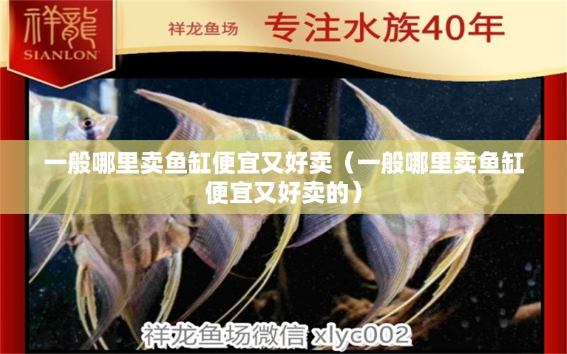 一般哪里賣魚缸便宜又好賣（一般哪里賣魚缸便宜又好賣的）