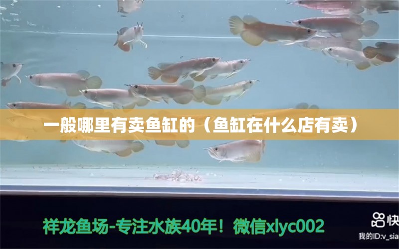 一般哪里有賣魚缸的（魚缸在什么店有賣） 黑白雙星