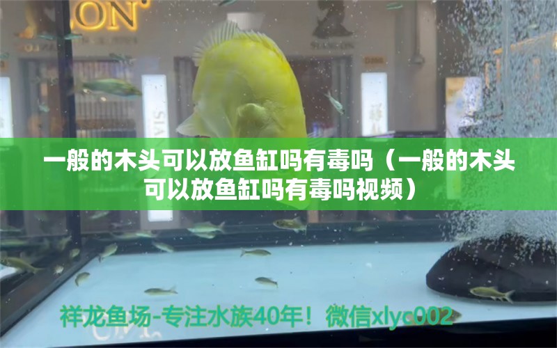 一般的木頭可以放魚缸嗎有毒嗎（一般的木頭可以放魚缸嗎有毒嗎視頻） 其他品牌魚缸