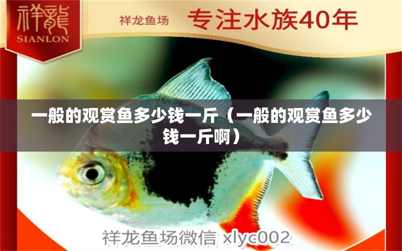 一般的觀賞魚多少錢一斤（一般的觀賞魚多少錢一斤?。? title=