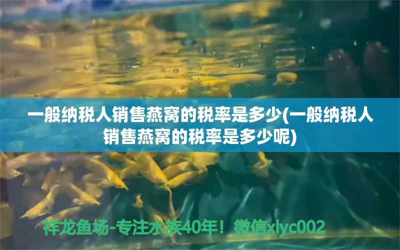 一般納稅人銷售燕窩的稅率是多少(一般納稅人銷售燕窩的稅率是多少呢) 馬來(lái)西亞燕窩 第1張