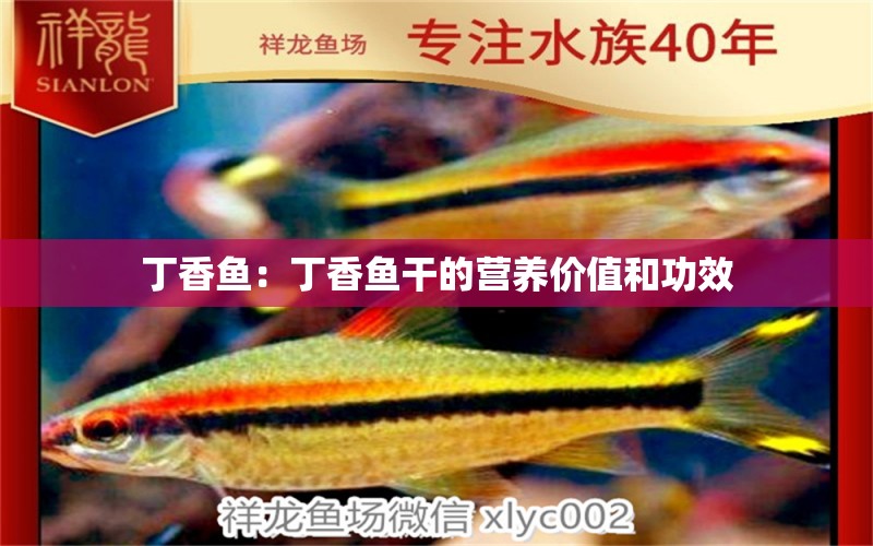 丁香魚：丁香魚干的營(yíng)養(yǎng)價(jià)值和功效