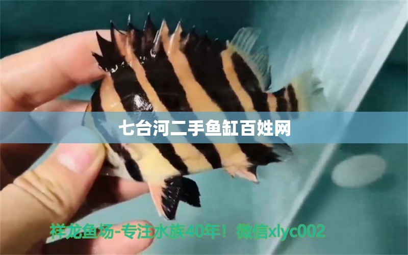 七臺(tái)河二手魚缸百姓網(wǎng) 其他品牌魚缸