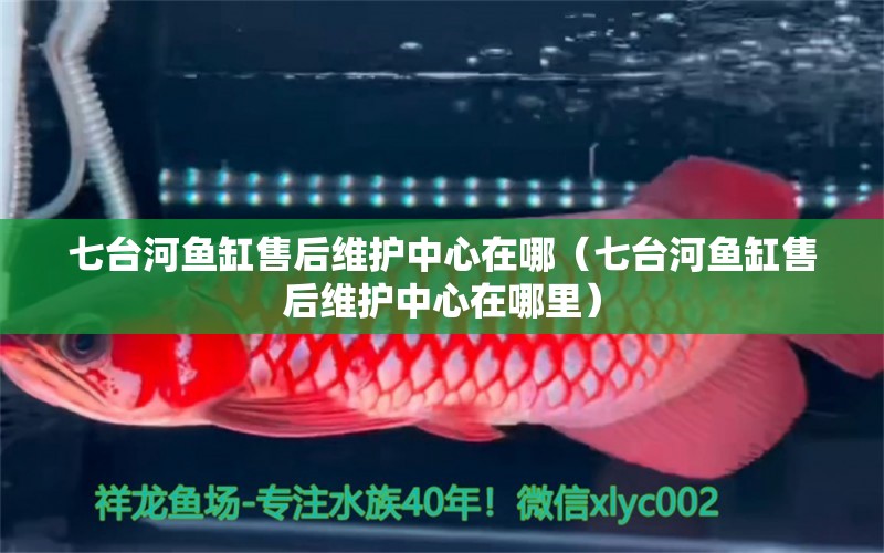 七臺河魚缸售后維護中心在哪（七臺河魚缸售后維護中心在哪里） 其他品牌魚缸