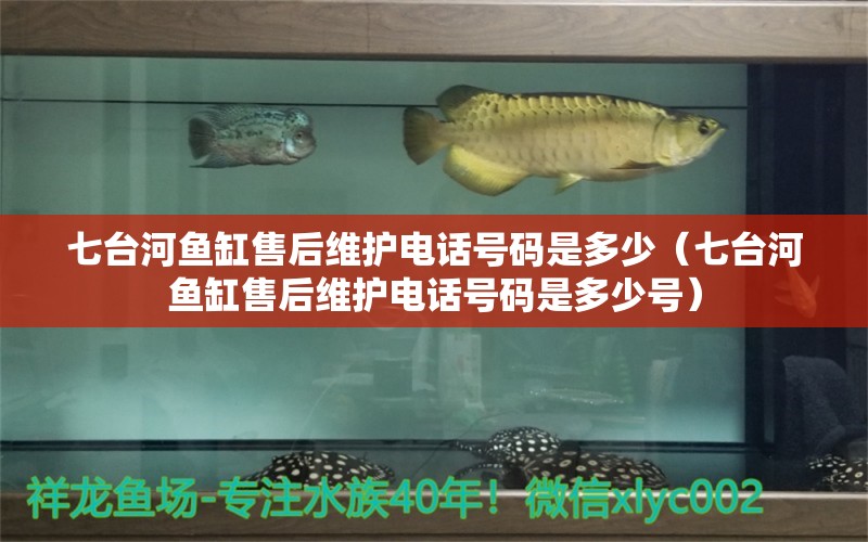 七臺河魚缸售后維護電話號碼是多少（七臺河魚缸售后維護電話號碼是多少號） 其他品牌魚缸