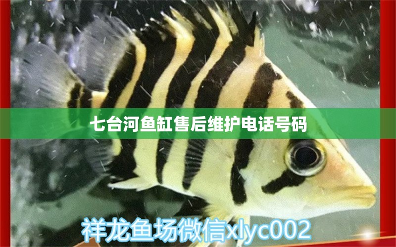 七臺(tái)河魚缸售后維護(hù)電話號(hào)碼