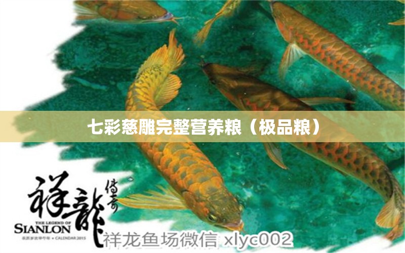 七彩慈雕完整營(yíng)養(yǎng)糧（極品糧） 慈雕魚(yú)