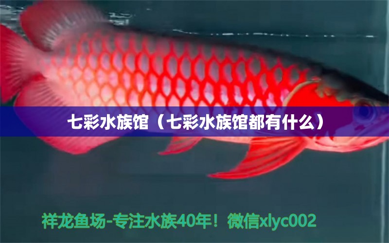 七彩水族館（七彩水族館都有什么）