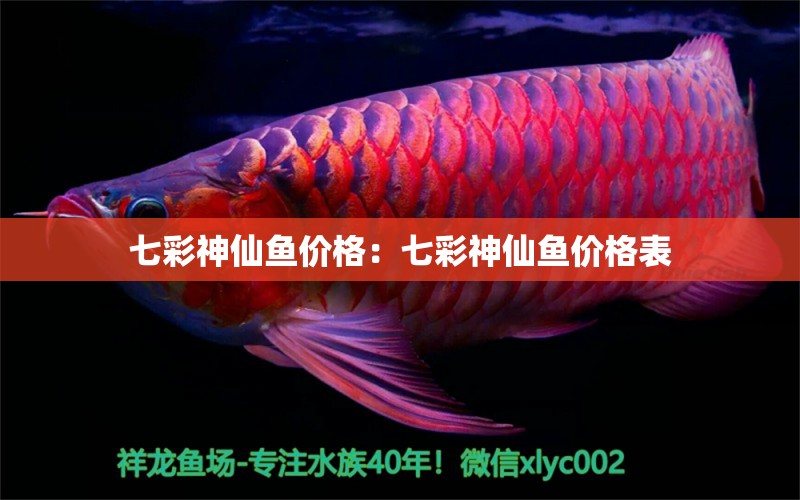 七彩神仙魚價格：七彩神仙魚價格表 七彩神仙魚