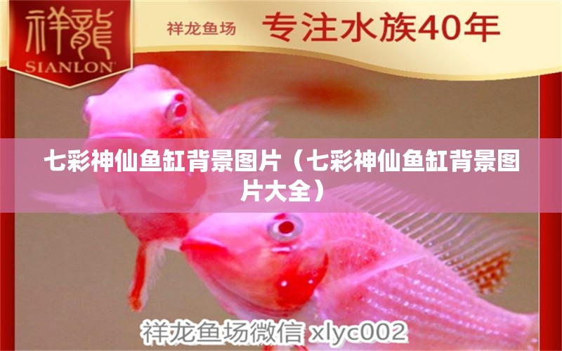 七彩神仙魚缸背景圖片（七彩神仙魚缸背景圖片大全）