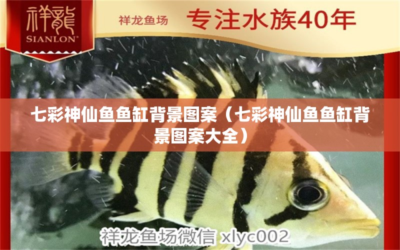 七彩神仙魚魚缸背景圖案（七彩神仙魚魚缸背景圖案大全）