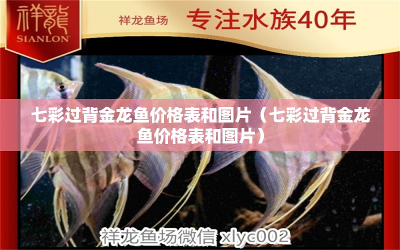 七彩過背金龍魚價格表和圖片（七彩過背金龍魚價格表和圖片） 過背金龍魚