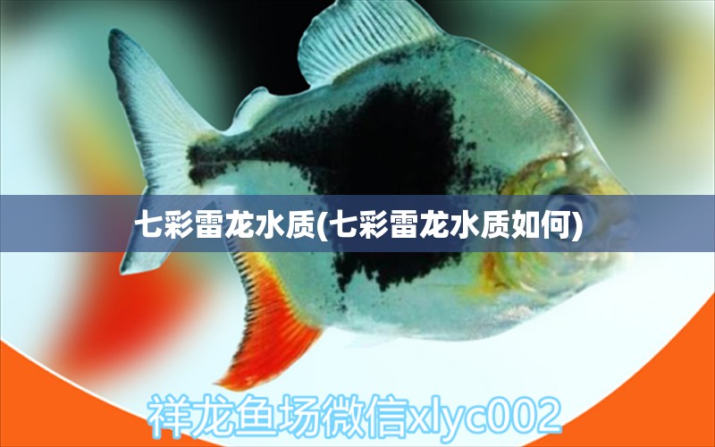 七彩雷龍水質(zhì)(七彩雷龍水質(zhì)如何) 巴卡雷龍魚(yú)