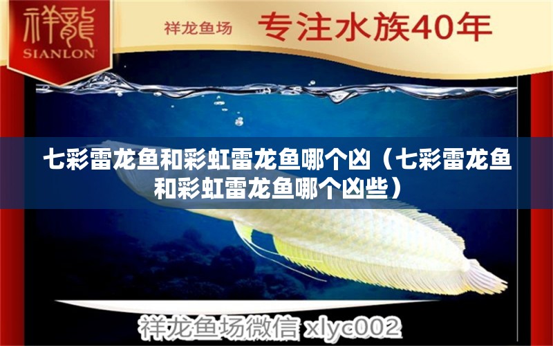 七彩雷龍魚(yú)和彩虹雷龍魚(yú)哪個(gè)兇（七彩雷龍魚(yú)和彩虹雷龍魚(yú)哪個(gè)兇些）