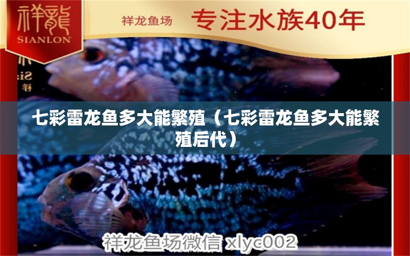 七彩雷龍魚多大能繁殖（七彩雷龍魚多大能繁殖后代） 廣州龍魚批發(fā)市場