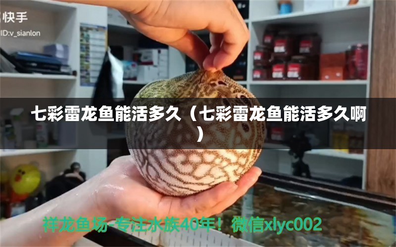 七彩雷龍魚能活多久（七彩雷龍魚能活多久?。? title=