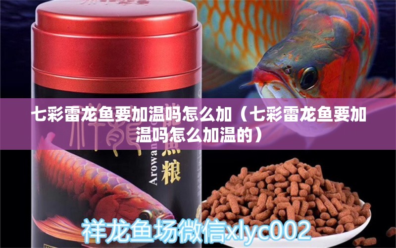 七彩雷龍魚要加溫嗎怎么加（七彩雷龍魚要加溫嗎怎么加溫的）