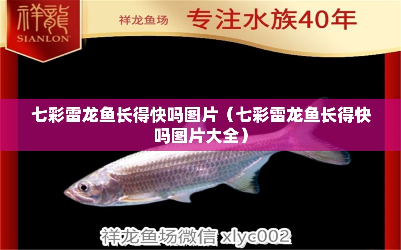 七彩雷龍魚長(zhǎng)得快嗎圖片（七彩雷龍魚長(zhǎng)得快嗎圖片大全）