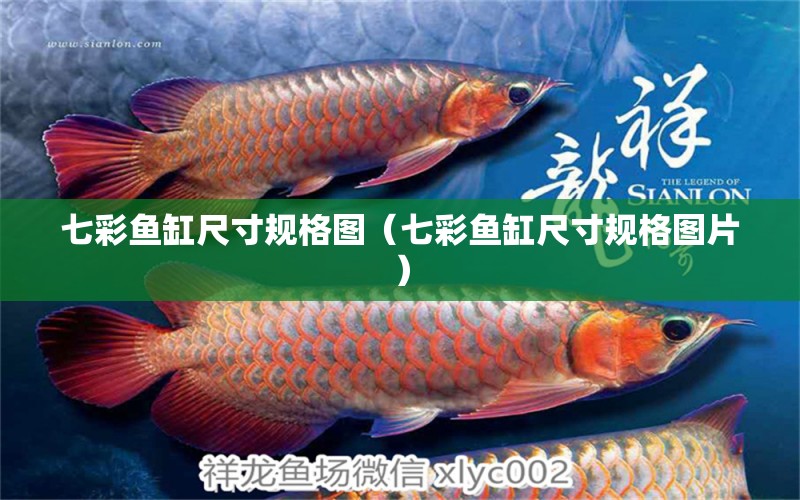 七彩魚缸尺寸規(guī)格圖（七彩魚缸尺寸規(guī)格圖片）