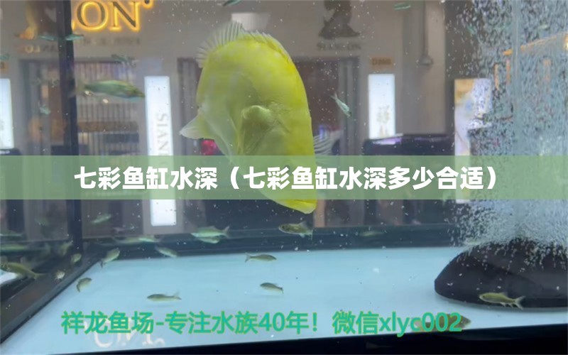 七彩魚缸水深（七彩魚缸水深多少合適）