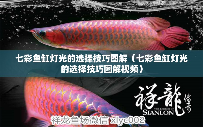 七彩魚缸燈光的選擇技巧圖解（七彩魚缸燈光的選擇技巧圖解視頻）