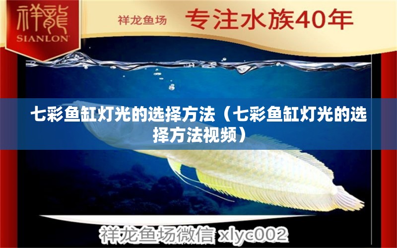 七彩魚缸燈光的選擇方法（七彩魚缸燈光的選擇方法視頻）