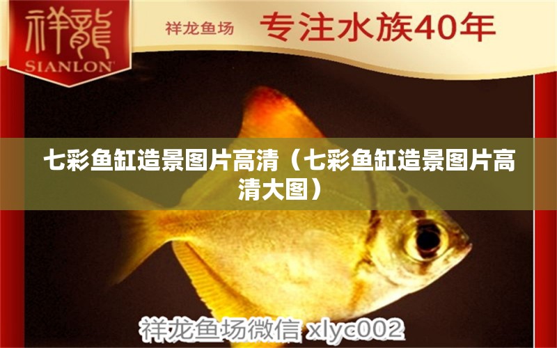 七彩魚缸造景圖片高清（七彩魚缸造景圖片高清大圖） 祥龍水族醫(yī)院