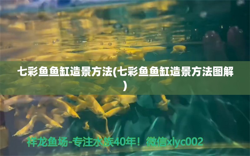 七彩魚魚缸造景方法(七彩魚魚缸造景方法圖解) 魚缸清潔用具