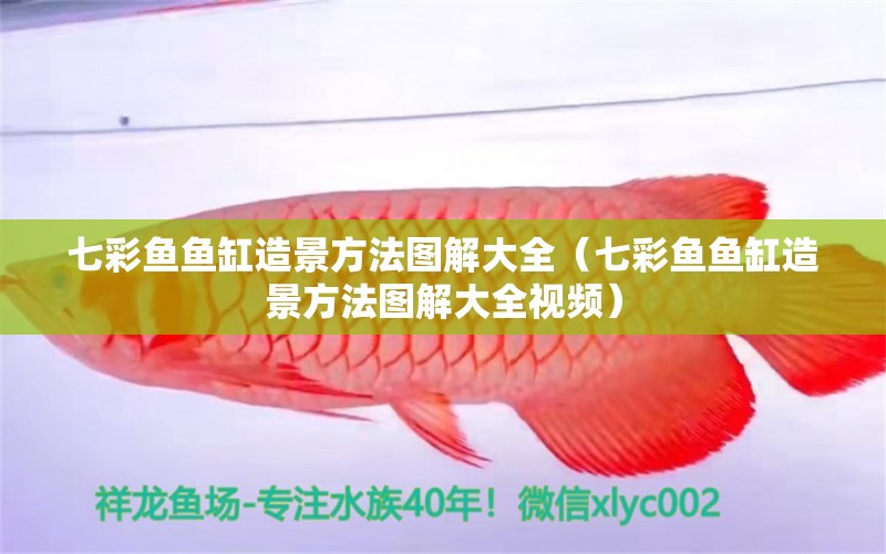 七彩魚魚缸造景方法圖解大全（七彩魚魚缸造景方法圖解大全視頻）