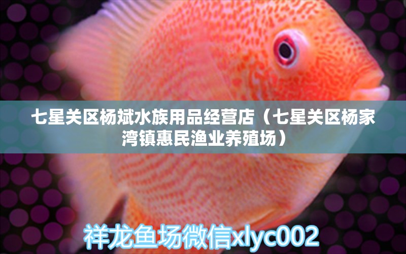 七星關區(qū)楊斌水族用品經(jīng)營店（七星關區(qū)楊家灣鎮(zhèn)惠民漁業(yè)養(yǎng)殖場）